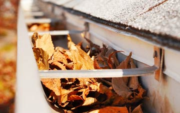 Suardail gutter cleaning companies